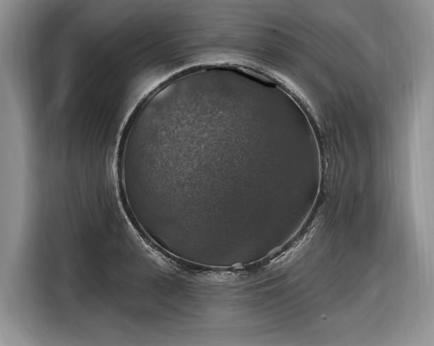 X0000116450943200912151257