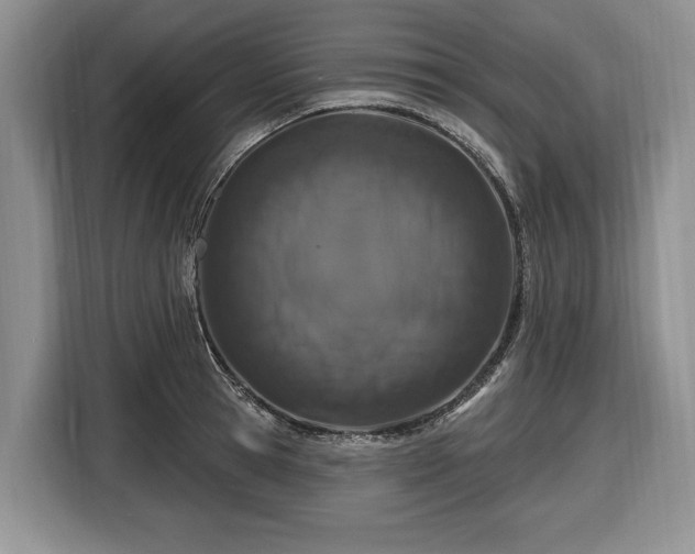 X0000116450945200912151257