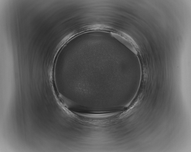 X0000116450946200912151257