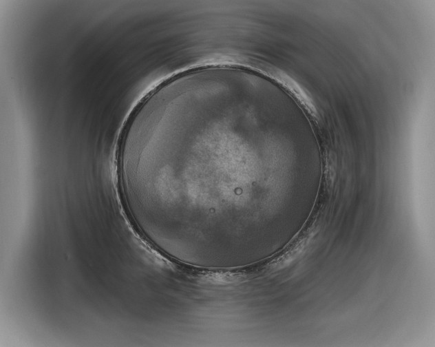 X0000116450950200912151257