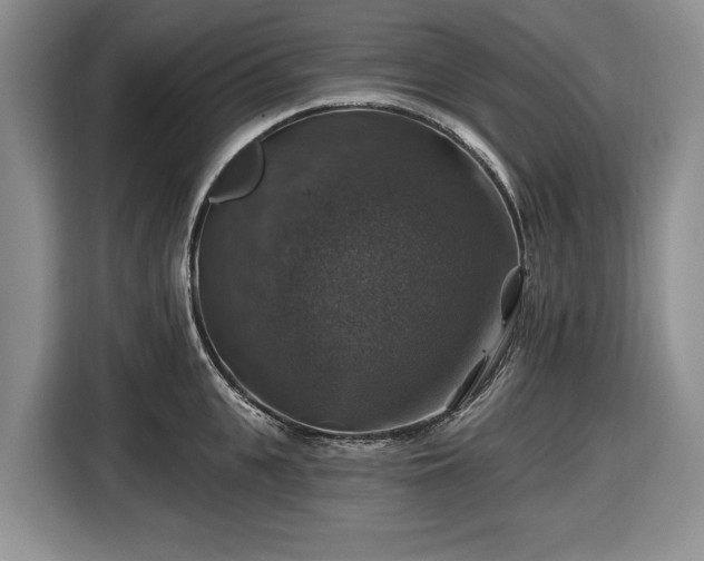 X0000116450951200912151257