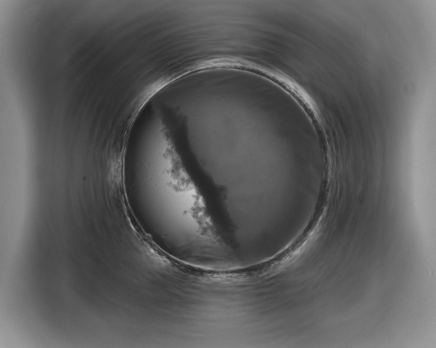X0000116450953200912151257