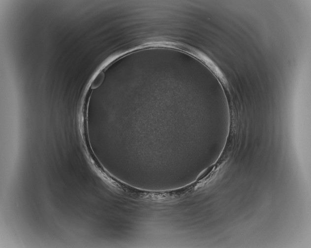 X0000116450955200912151257