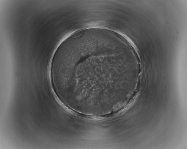 X0000116450957200912151257