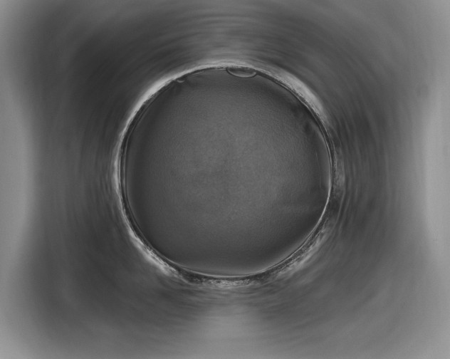 X0000116450958200912151257