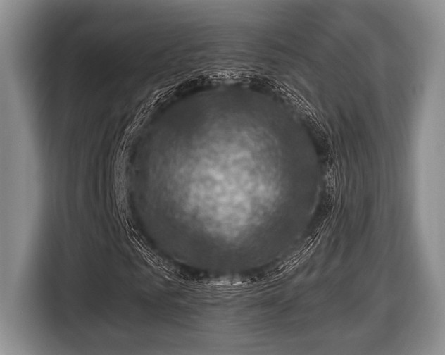 X0000116450961200912151257
