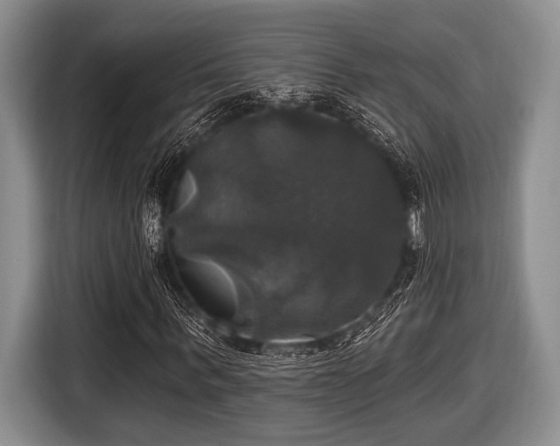 X0000116450963200912151257