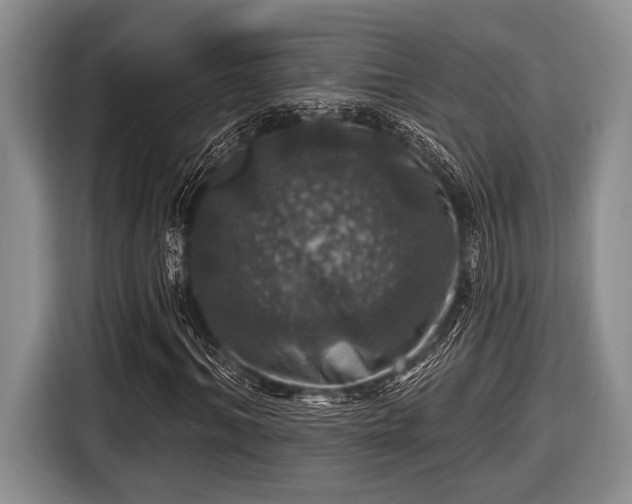 X0000116450964200912151257