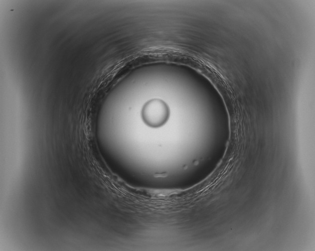 X0000116450965200912151257