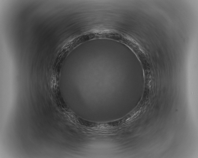 X0000116450966200912151257