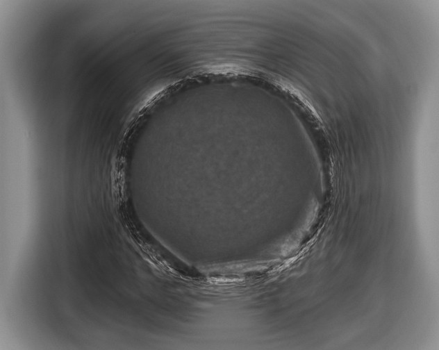 X0000116450968200912151257