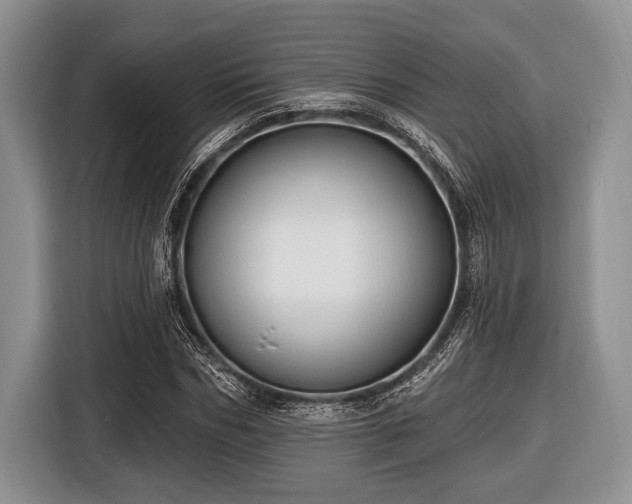 X0000116450970200912151257