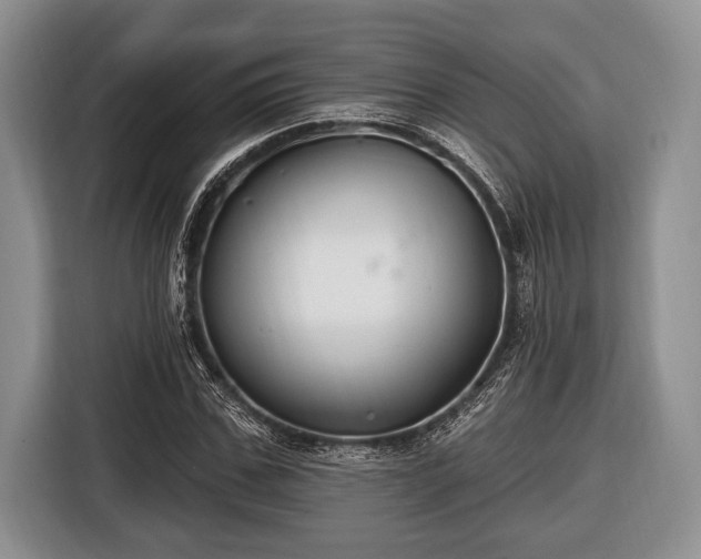X0000116450971200912151257