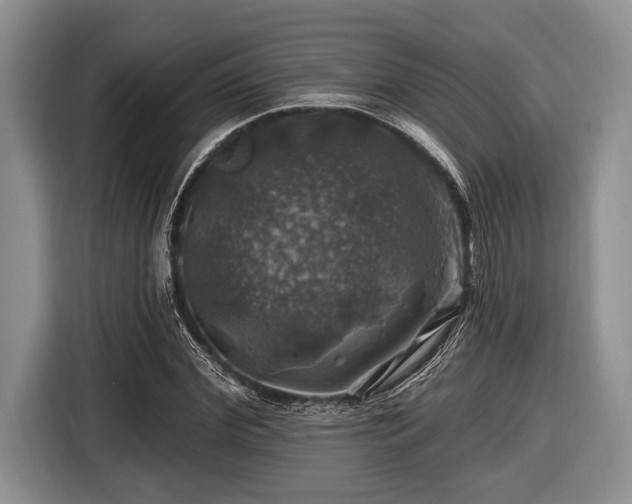 X0000116450972200912151257