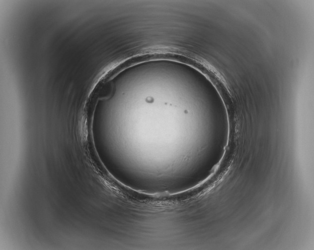 X0000116450973200912151257
