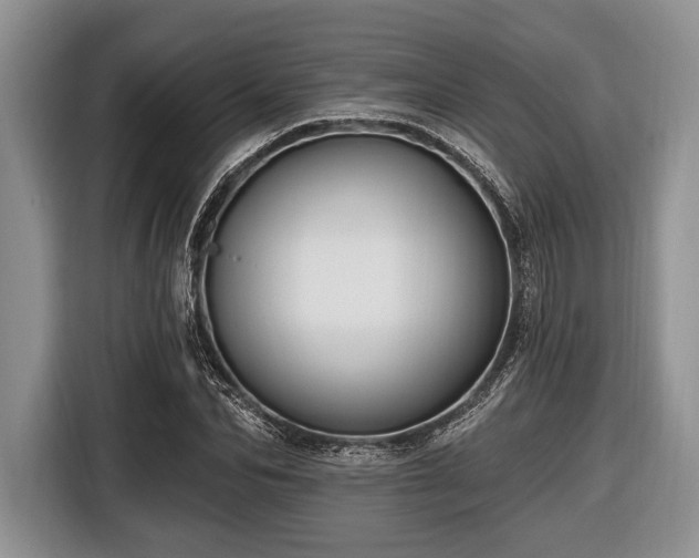 X0000116450974200912151257