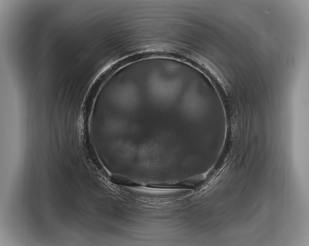 X0000116450975200912151257
