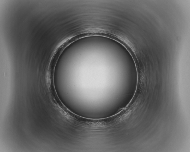 X0000116450979200912151257