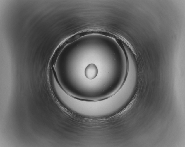 X0000116450981200912151256