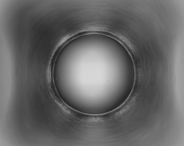 X0000116450982200912151256