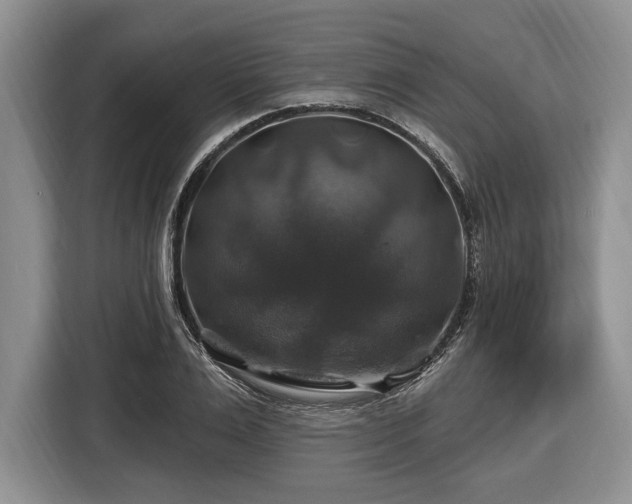 X0000116450983200912151256