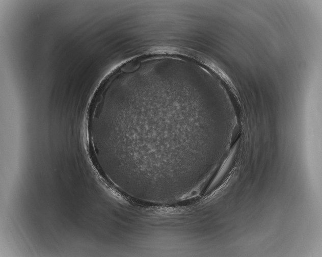 X0000116450984200912151256