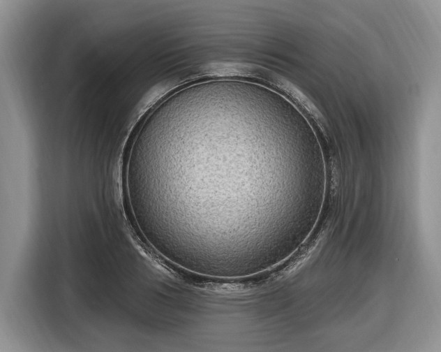 X0000116450986200912151256