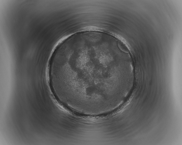 X0000116450987200912151256