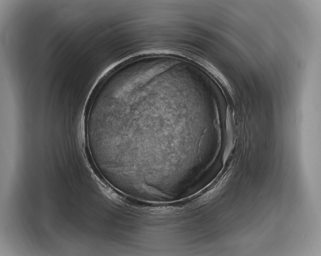 X0000116450988200912151256