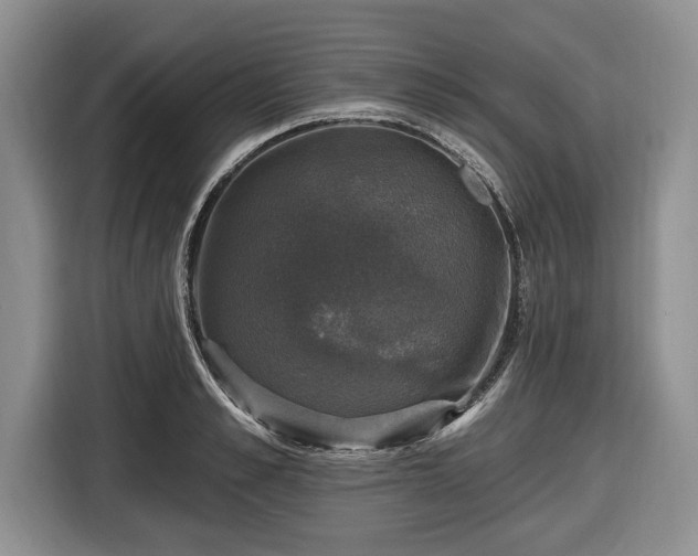 X0000116450989200912151256