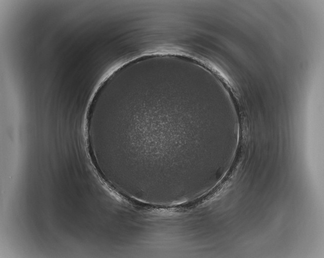 X0000116450990200912151256