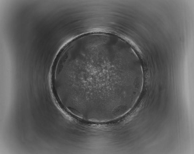 X0000116450991200912151256