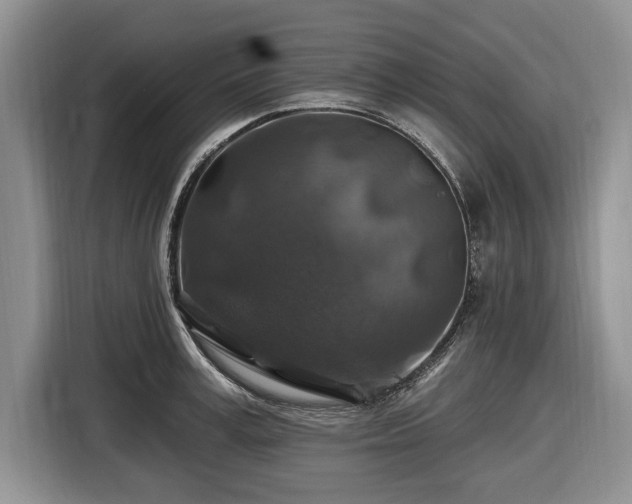 X0000116450995200912151256
