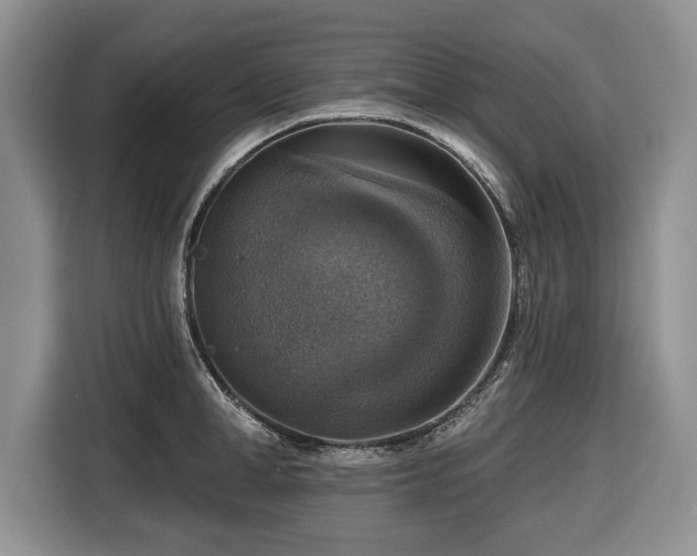 X0000116450998200912151256