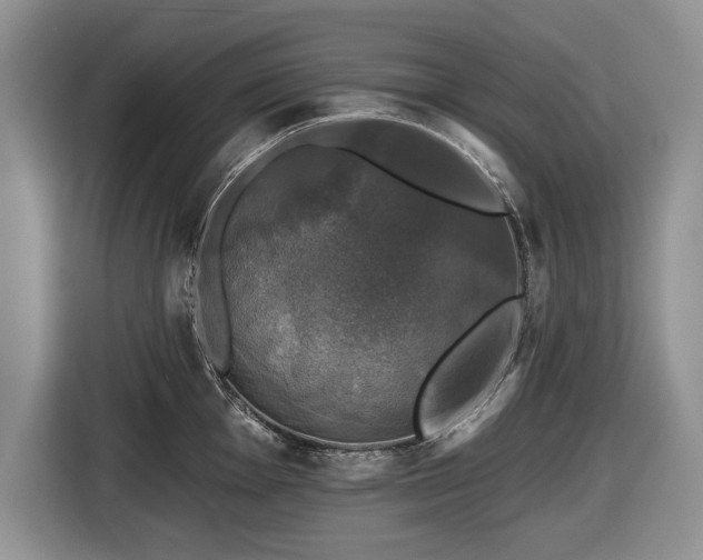 X0000116451001200912151256