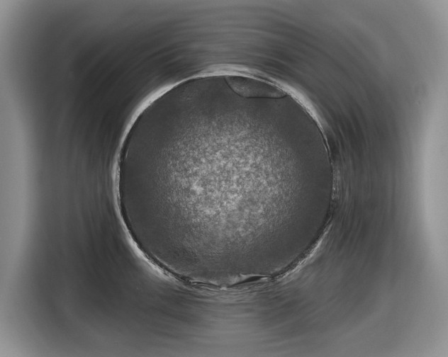 X0000116451003200912151256
