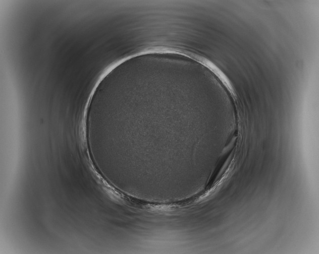X0000116451004200912151256