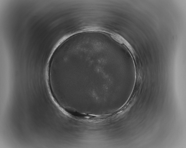 X0000116451005200912151256