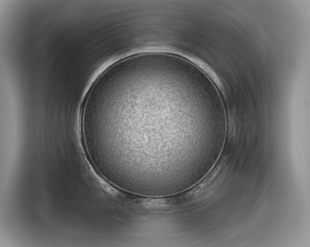 X0000116451006200912151256