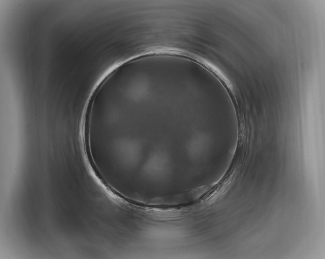 X0000116451007200912151256