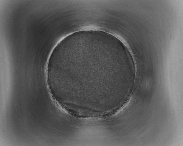X0000116451008200912151256