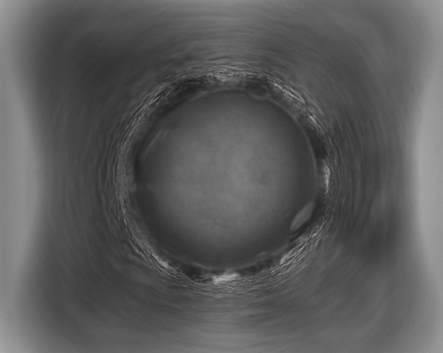 X0000116451009200912151256