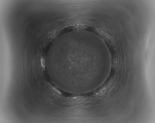 X0000116451010200912151256