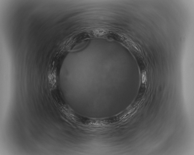X0000116451011200912151256