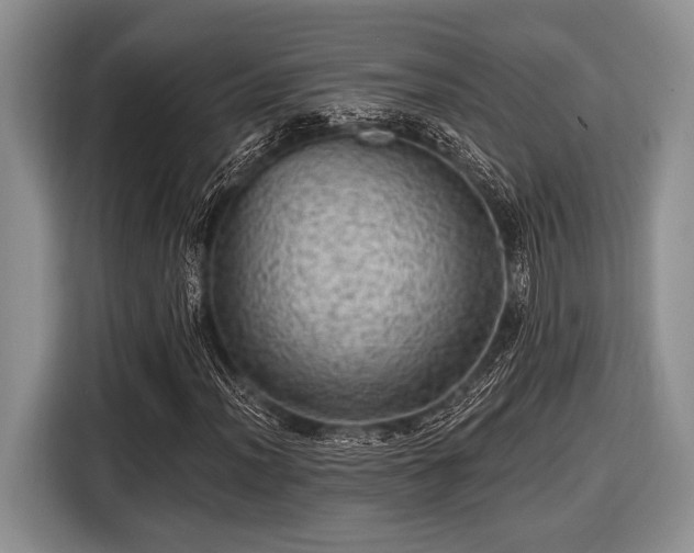 X0000116451012200912151256