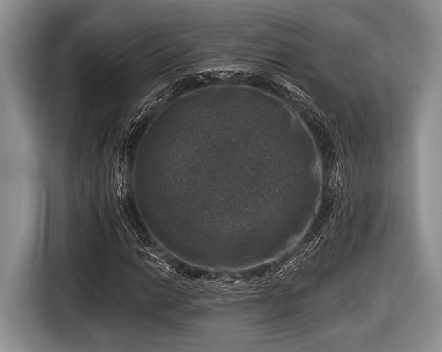 X0000116451014200912151256
