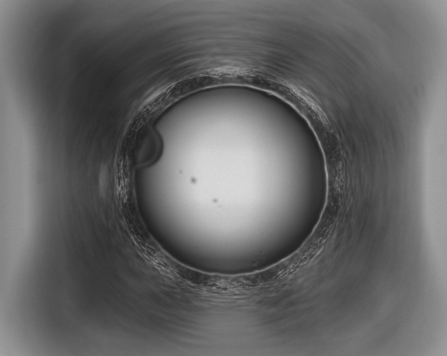 X0000116451015200912151256