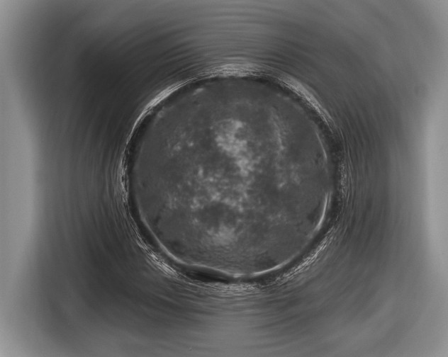 X0000116451018200912151256
