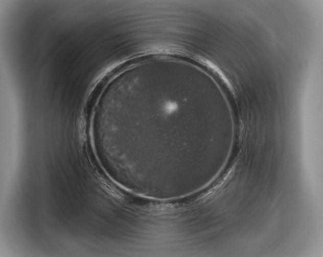 X0000116451019200912151256