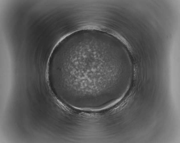 X0000116451020200912151256
